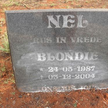 NEL Blondie 1987-2004