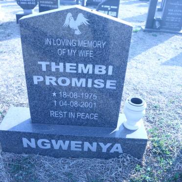 Ng - Surnames starting with the letters Ng