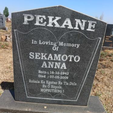 PEKANE Sekamoto Anna 1943-2009