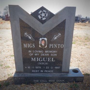 PINTO Miguel 1979-1997