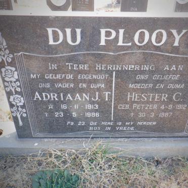 PLOOY Adriaan J.T., du 1913-1986 &amp; Hester C. PETZER 1912-1987