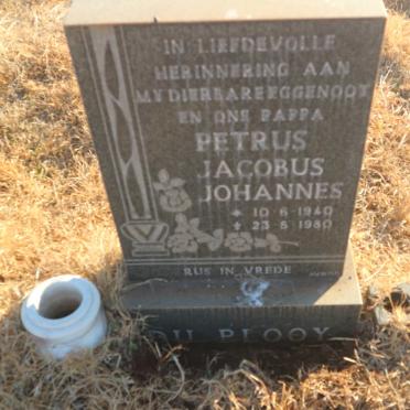 PLOOY Petrus Jacobus Johannes, du 1940-1980