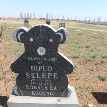 SELEPE Dipuo 2014-2014