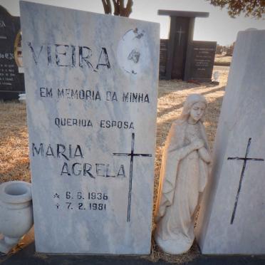 VIEIRA Maria Agrela 1936-1981