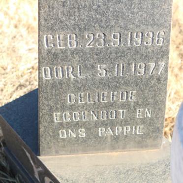 YOUNG Willie 1936-1977