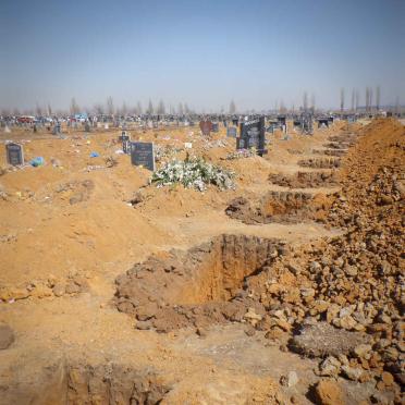 07. Overview / Oorsig