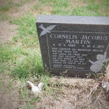 ? Cornelis Jacobus Martin 1963-1971