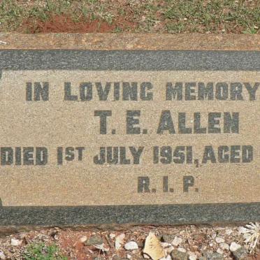 ALLEN T.E -1951