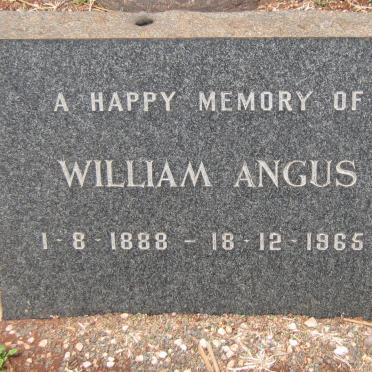 ANGUS William 1888-1965