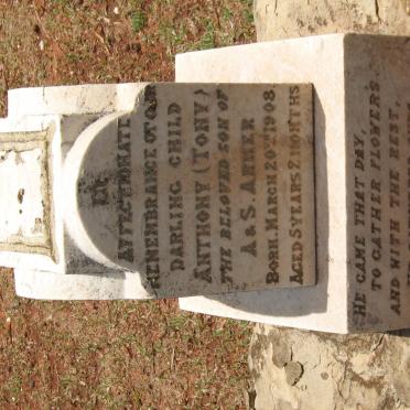 ARMER Anthony 1908-1913