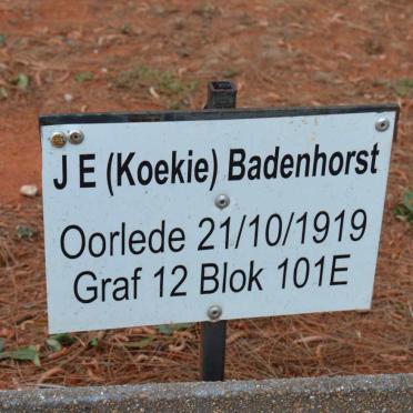 BADENHORST J.E. -1919