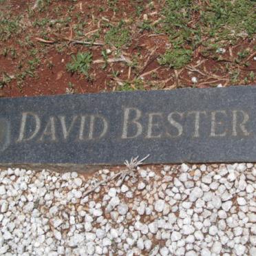 BESTER David