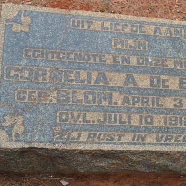 BRUIN Cornelia A., de nee BLOM 1890-1918