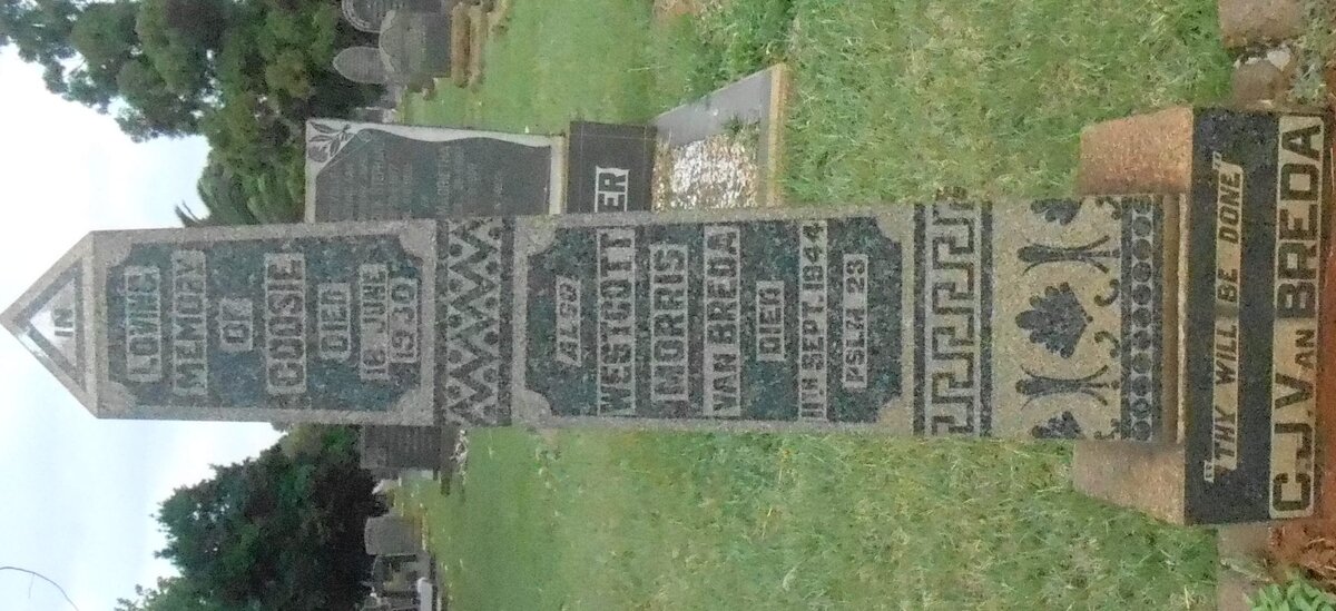 BREDA Westcott Morris -1944 &amp; C.J. -1930