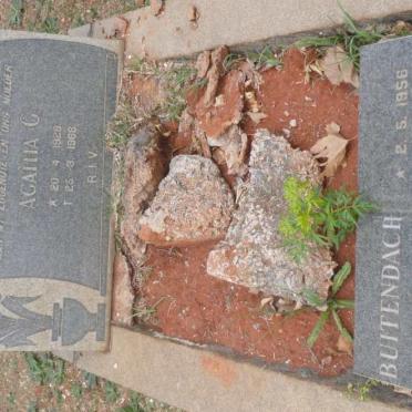 BUITENDACH Agatha G. 1928-1988 :: BUITENDACH Frans Engelbertus 1956-1985