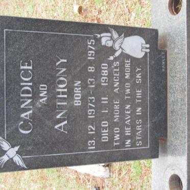 COETZEE Anthony 1975-1980 :: COETZEE Candice 1973-1980