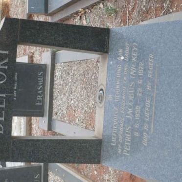 DELPORT Petrus Jacobus 1938-1972