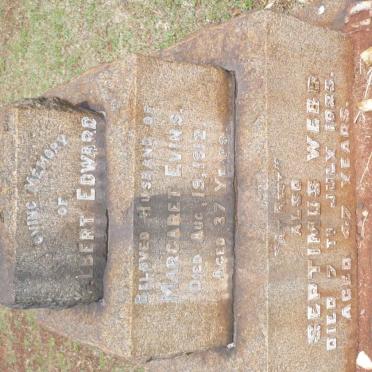 EVINS Albert Edward -1912 :: WEBB Septimus -1925