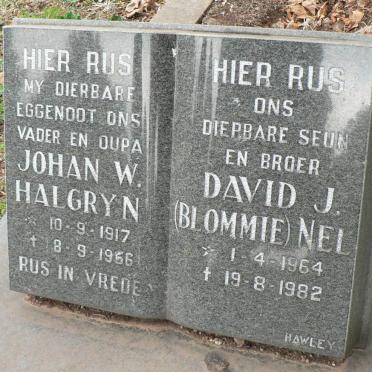 HALGRYN Johan W. 1917-1956 :: NEL David J. 1964-1982