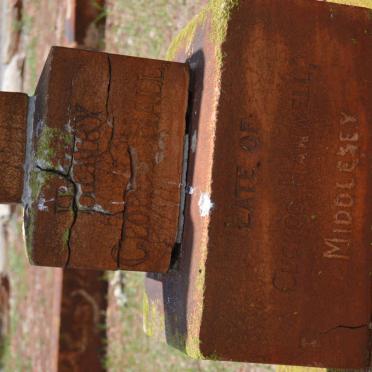 HALL Henry George -1907