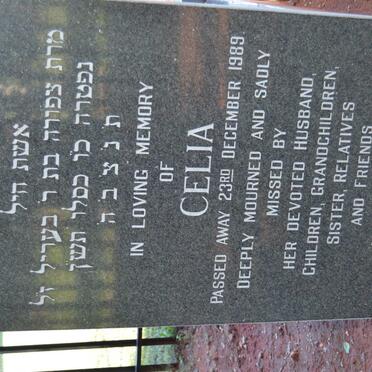 LEWINSOHN Celia -1989