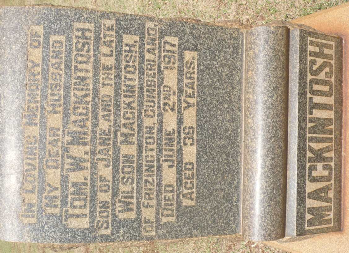 MacKINTOSH Tom W. -1917