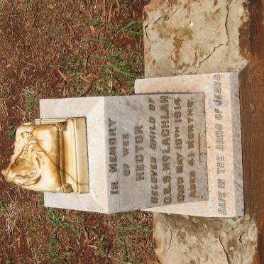 McLACHLAN Hector 1914-1914