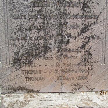 HANNAH Robert 1871-1914