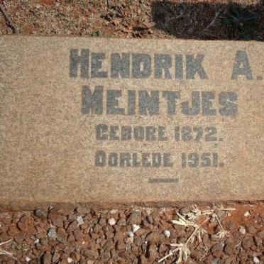 MEINTJES Hendrik A. 1872-1951