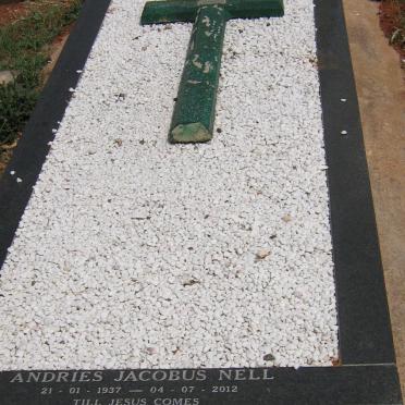 Ne - Surnames starting with the letters Ne