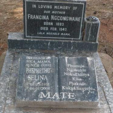 Ng - Surnames starting with the letters Ng