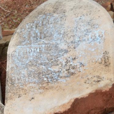 NIEKERK Willem, van -1908