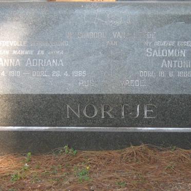 No - Surnames starting with the letters No