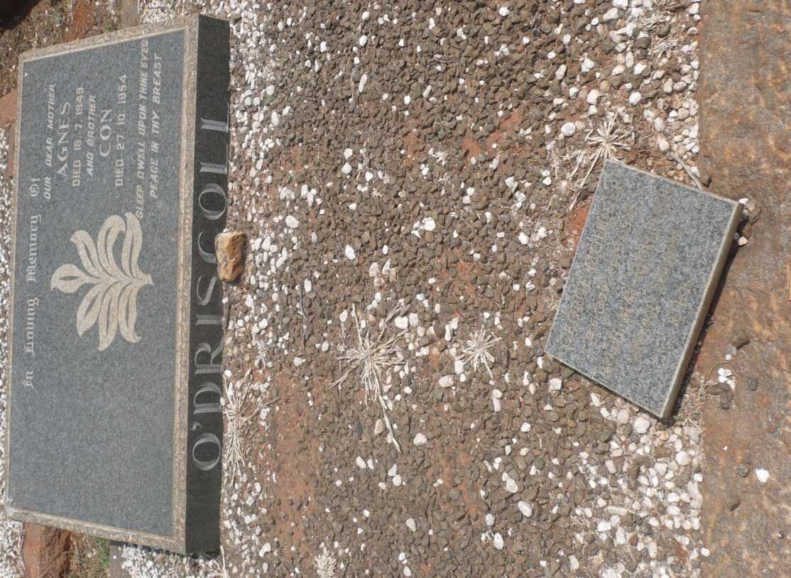 O'DRISCOLL Agnes -1949 :: O'DRISCOLL Con -1954