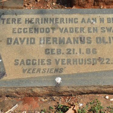 OLIVIER David Hermanus 1886-1951