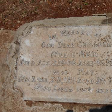 REID Willie -1906 :: REID May -1911