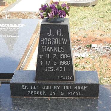 ROSSOUW J.H. 1984-1986