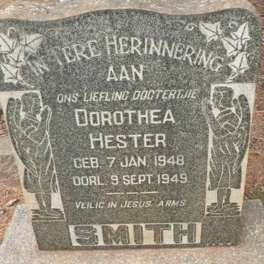 SMITH vanne :: SMITH surnames