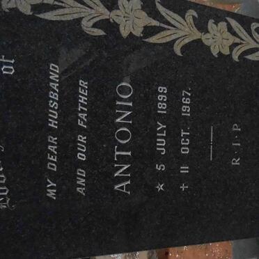 TEIXEIRA Antonio 1899-1967