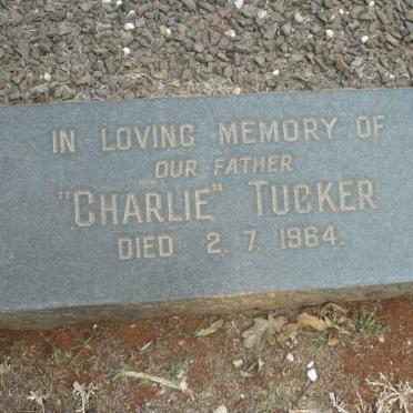 TUCKER Charlie -1964