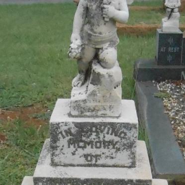 VERHEEM Fred A. 1933-1933