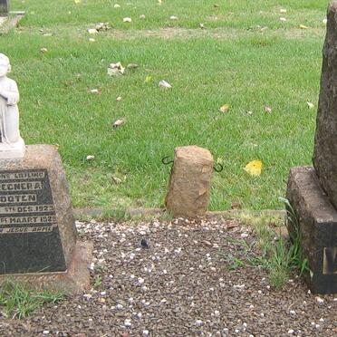 VERMOOTEN Imilius Regnerus 1873-1928 :: VERMOOTEN Imilia Regnera 1923-1929