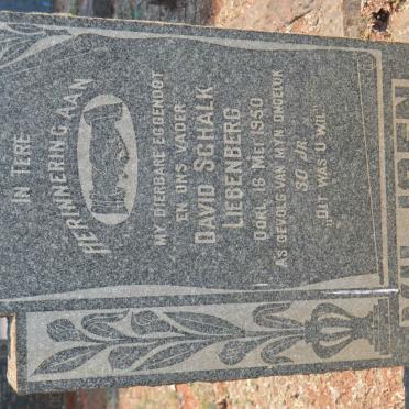 VILJOEN David Schalk Liebenberg -1950