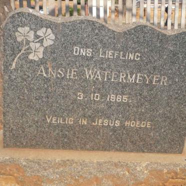 WATERMEYER Ansie 1965