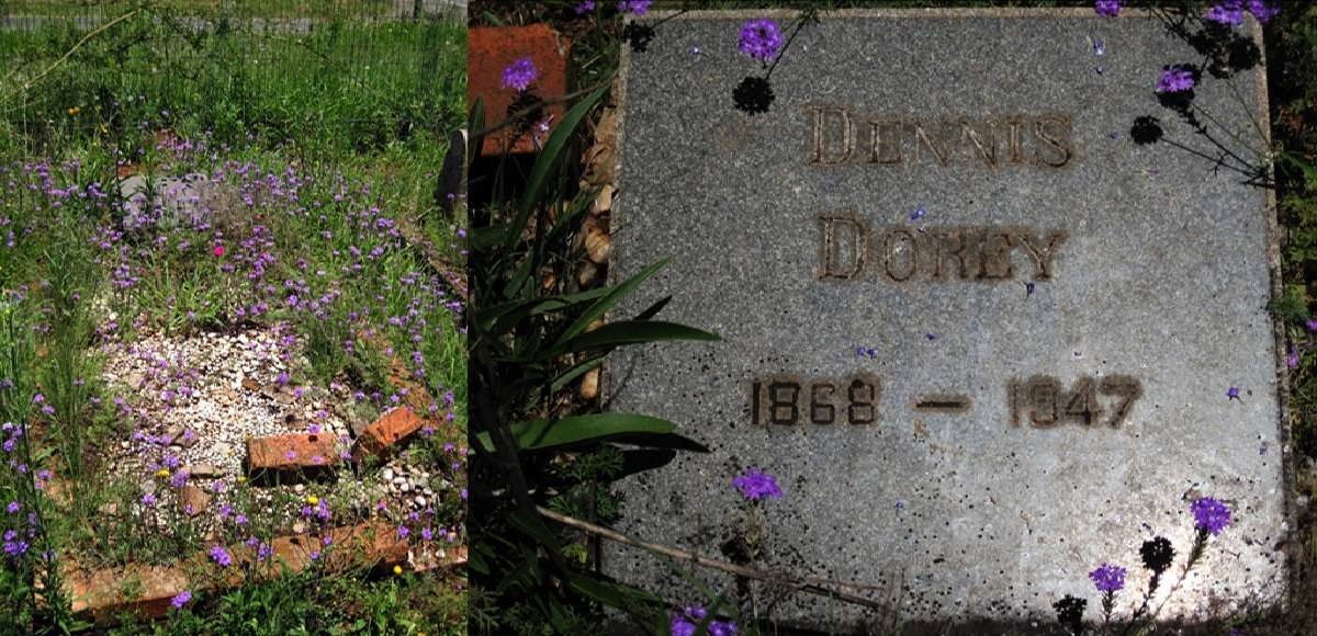 DOREY Dennis 1866-1947