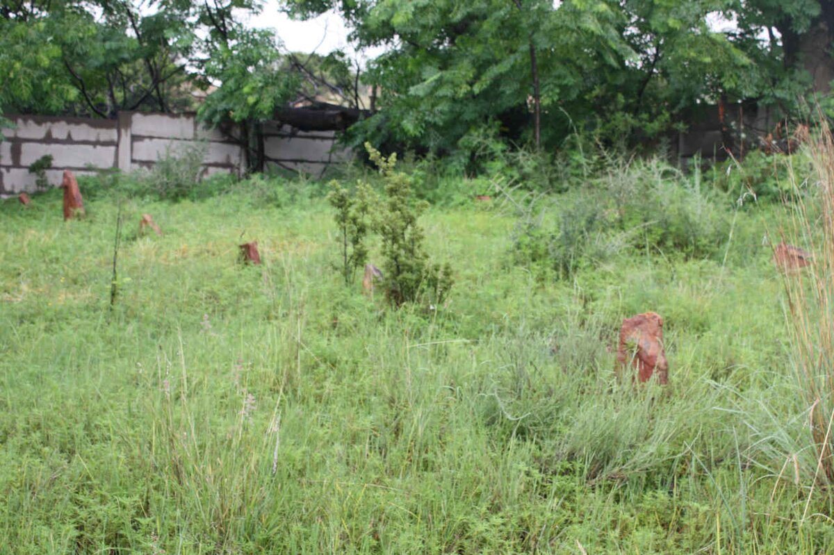 1. Oorsig Begraafplaas