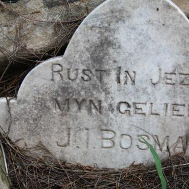 BOSMAN J.I. 1892-1901 :: BOSMAN Johannes Theo's L. 1902-1905