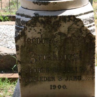 BRONKHORST Jacobus Petrus 1878-1900