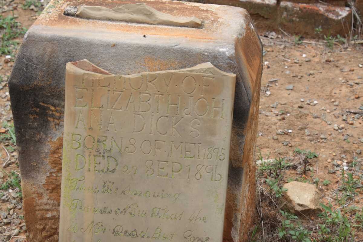 DICKS Elizabeth Johana 1895-1896