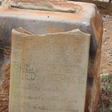 DICKS Elizabeth Johana 1895-1896